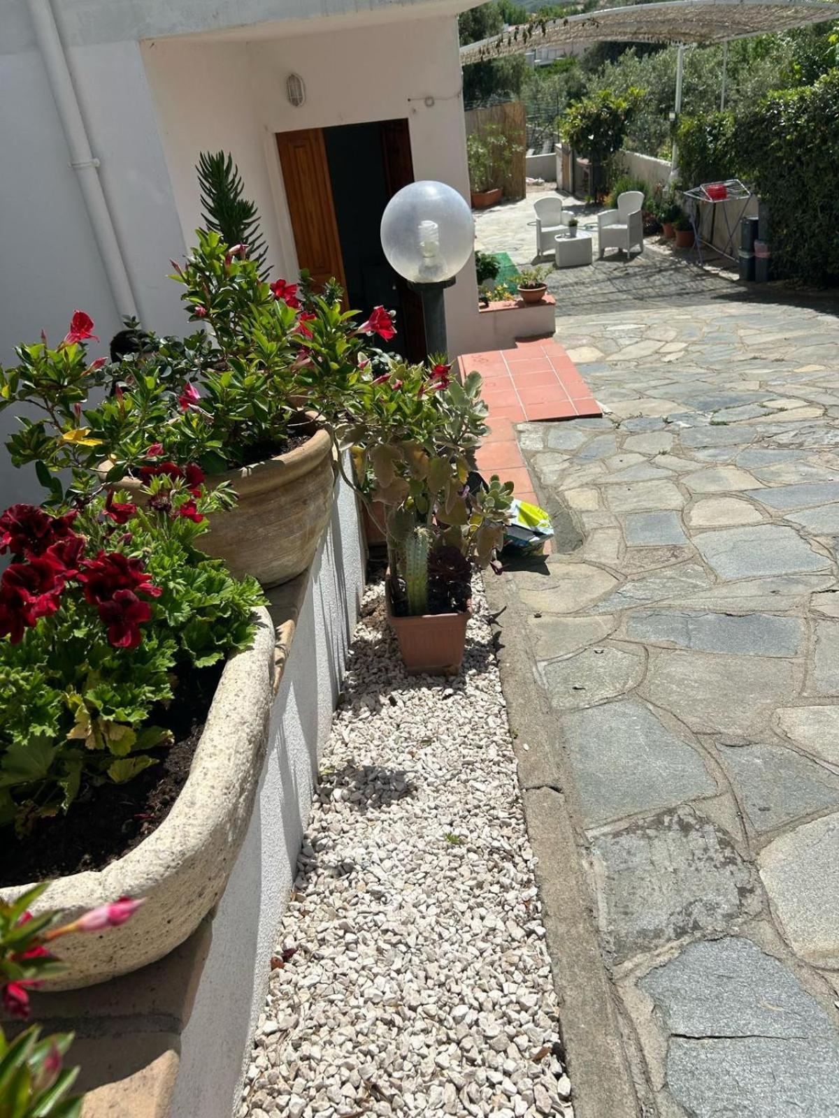 Istella Bed and Breakfast Posada  Εξωτερικό φωτογραφία